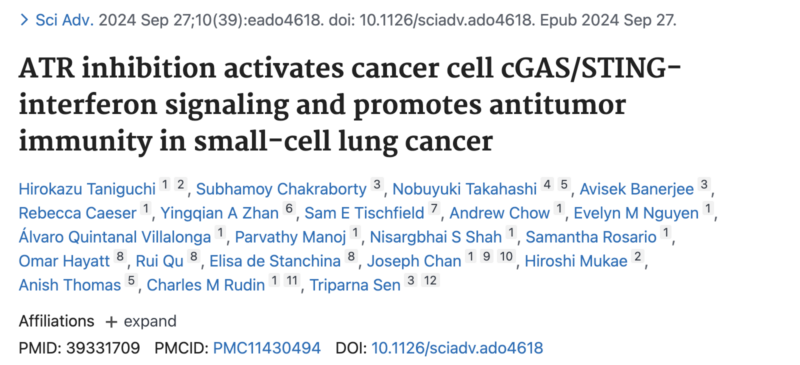 Triparna Sen: DDR protein ATR activation enhances immunotherapy in SCLC